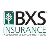 bxs insurance