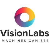 visionlabs logo image