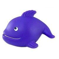 purple whale managment