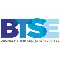 btse (bromley third sector enterprise) logo image