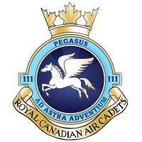 111 pegasus squadron logo image