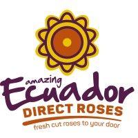 ecuador direct roses