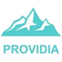 providiaai logo image