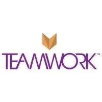 teamwork arts pvt ltd logo image