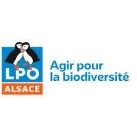 lpo alsace