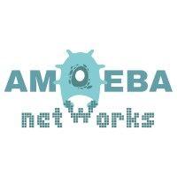 amoeba networks logo image