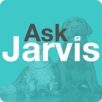 ask jarvis logo image