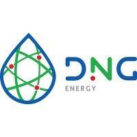 dng energy logo image