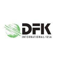 dfk international/usa logo image