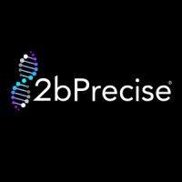 2bprecise logo image