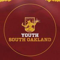 detroit city fc youth south oakland logo image