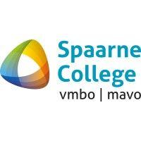 spaarne college