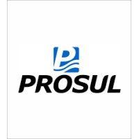 prosul - projetos, supervisão e planejamento ltda.