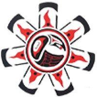 raven indigenous capital partners logo image