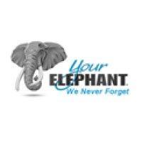 your elephant logo image