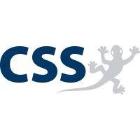 css ag logo image