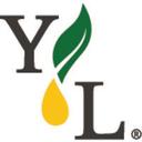 logo of Young Living Essential Oils