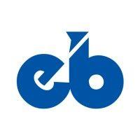 engineerbabu logo image