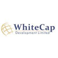 whitecap global group logo image