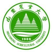 shandong agricultural university