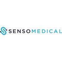 sensomedical labs ltd logo image