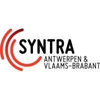 syntra antwerpen en vlaams brabant (syntra ab) logo image