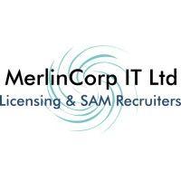 merlincorp it ltd logo image