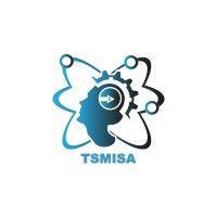 tsmisa logo image