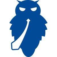 blue owl logo image