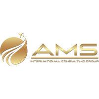 ams international consulting group