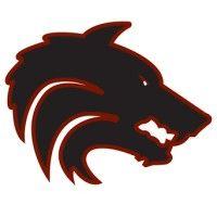 desert mountain high school logo image