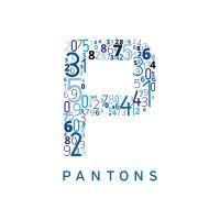 panton accountancy services limited logo image