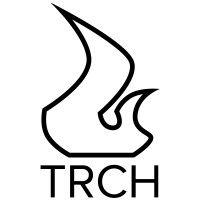 torch group logo image