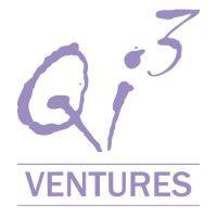 qi3 ventures logo image