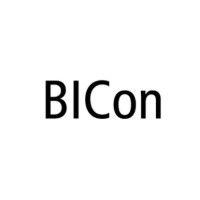 bicon | business & it consulting