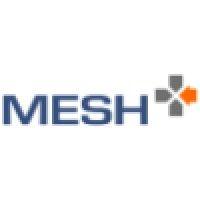 mesh logo image