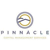 pinnacle capital management services, llc logo image