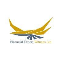 financial expert witness ltd logo image