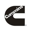 logo of Cummins Africa Middle East