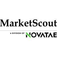 marketscout, a division of novatae logo image