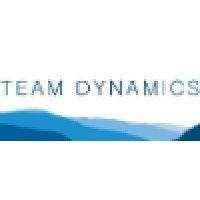 team-dynamics logo image