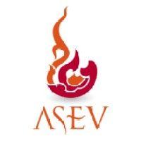 asev travel logo image