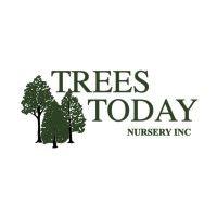 trees today nursery inc logo image