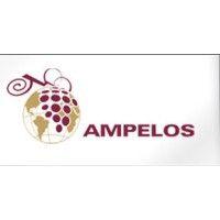 ampelos latinoamerica logo image