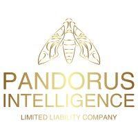 pandorus intelligence, llc logo image