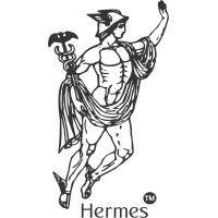 hermes travel and cargo pvt ltd logo image