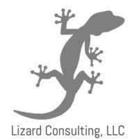 lizard consulting, llc logo image