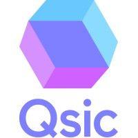 qsic logo image