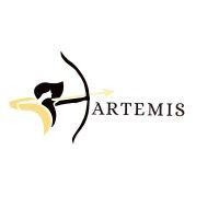 artemis - reichman university entrepreneurship club