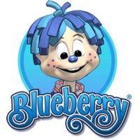 blue berryfun private limited logo image